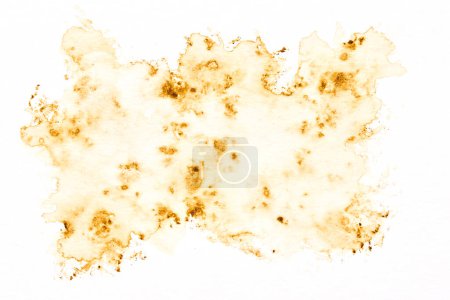 Photo for Abstract liquid art background. Brown watercolor translucent blots on white paper - Royalty Free Image