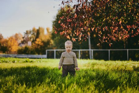 Téléchargez les photos : Portrait de l'enfant garçon marchant dans le parc d'automne, la nature, les arbres et l'herbe verte - en image libre de droit