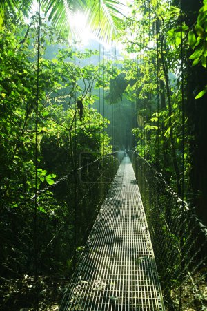 Téléchargez les photos : Wiszce mosty w La Fortuna - Kostaryka - en image libre de droit