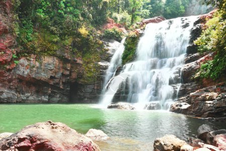 Téléchargez les photos : Kaskada, wodospad w Kostaryce - en image libre de droit