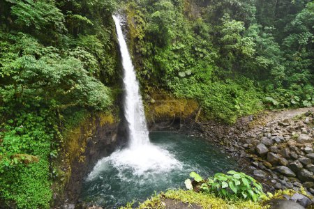 Téléchargez les photos : Wodospady w kostarykaskiej dungli. - en image libre de droit