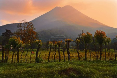 Wulkan Arenal - La Fortuna Kostaryka