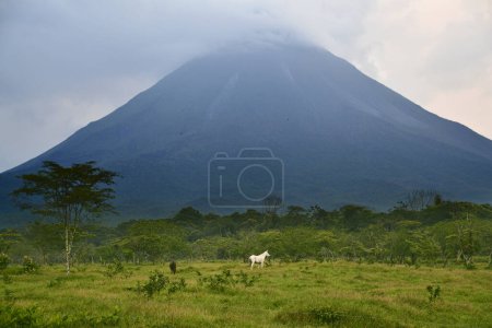 Téléchargez les photos : Wulkan Arenal w Kostaryce - en image libre de droit