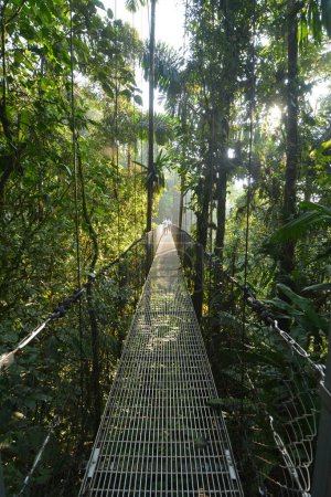 Wiszcy most w Kostaryce