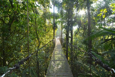 Téléchargez les photos : Wiszace mosty w La Fortuna - Kostaryka - en image libre de droit