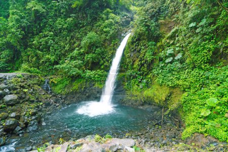 Téléchargez les photos : Wodospad w Kostaryce w lesie deszczowym - en image libre de droit