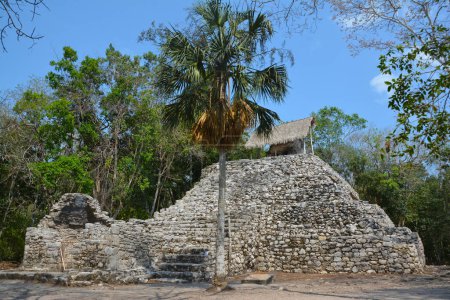 Téléchargez les photos : Piramid ruineux Majw w Coba - Meksyk - en image libre de droit