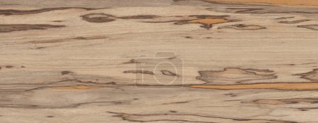 Téléchargez les photos : Texture de bois brun avec beaucoup de détails utilisés pour de nombreuses fins telles que les carreaux de mur et de sol en céramique et les matériaux PBR 3d. - en image libre de droit