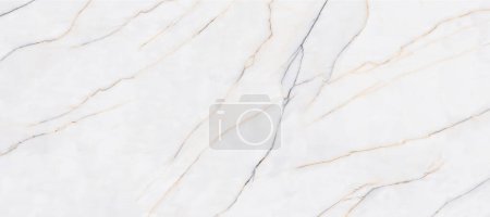 Foto de Textura de piedra de mármol de araña blanca con venas delgadas y muchos detalles utilizados para muchos propósitos, tales como baldosas de cerámica de pared y suelo y materiales 3d PBR. - Imagen libre de derechos