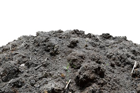 Closeup of Empty Ground Soil waiting for planting and building construction isolated on white background at thailand.