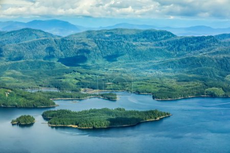 Luftaufnahme über die grüne Sommerlandschaft der alaskanischen Wildnis der Nebelfjorde