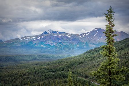 Foto de Impresionante montaña colorida en el Parque Nacional Denali, Alaska, EE.UU. - Imagen libre de derechos