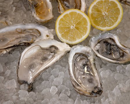 Foto de Media docena de ostras frescas en la media cáscara, con hielo y limones - Imagen libre de derechos