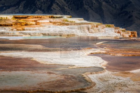 The terraces at Mammoth Hot Springs, Yellowstone National Park, Wyoming