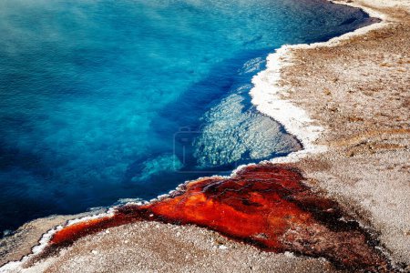 Vivid colors of the Black Pool in the Yellowstone National Park, Wyoming