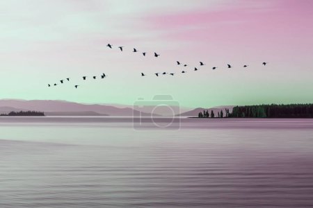Morning mood at Lake Yellowstone with a flock of birds 