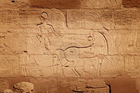 Hiroglifos egipcios antiguos en el templo de Karnak, Egipto