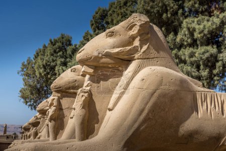 Avenida de los carneros frente al templo de Karnak, Luxor Egipto
