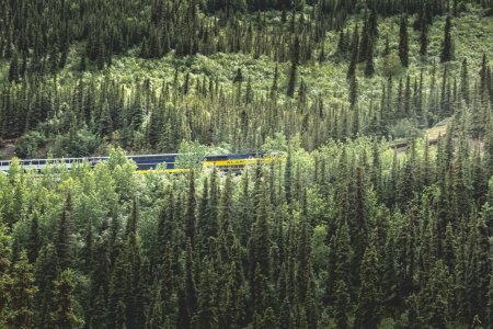Foto de Denali National Park, AK 28 de agosto de 2022, Alaska Tren de ferrocarril que conduce a través de la naturaleza alrededor del Parque Nacional de Denali - Imagen libre de derechos