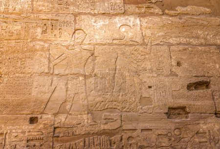 Hiroglifos egipcios antiguos en el templo de Karnak, Egipto
