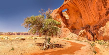 Unusual panoramic view in the Monument Valley with an arch and a tree on a sunny blue day