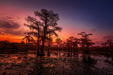 Die magische und märchenhafte Landschaft des Caddo Lake bei Sonnenuntergang, Texas
