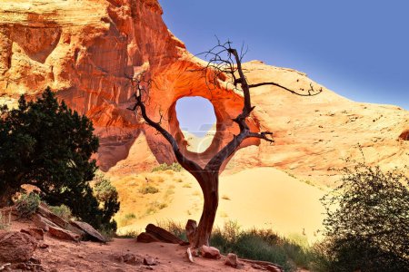 Unusual view in the Monument Valley with an arch and a tree on a sunny blue day