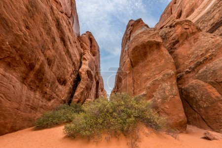 The Sand Dune Arch trail in the Arches  National Park, Utah USA