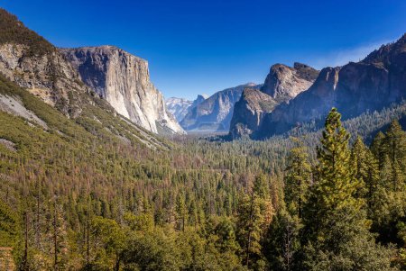 La vallée de Yosemite avec El Capitan dans le parc national de Yosemite, Californie