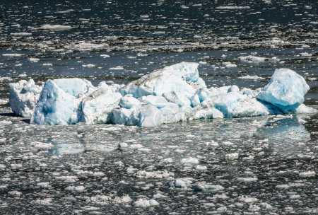Gletscherblaue Eisberge in den Russel Fjors stammen vom Hubbard-Gletscher in Alaska