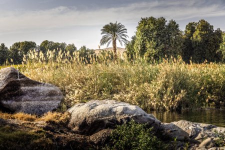 Landscape on the Nile river banks in south Egypt