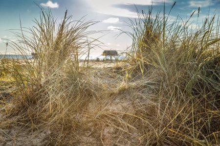 Sanddünen mit Gras am Strand von Sankt Peter-Ording