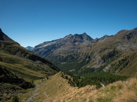 Foto de Valle verde con hierba, bosque y río, en el valle de Lys, sobre Staffal y Gressoney la Trinite, en Valle d 'Aosta, Italia. Alpes peninos - Imagen libre de derechos
