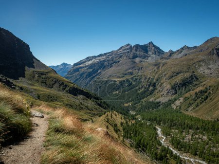 Sendero de montaña con hierba, bosque y río, en el valle de Lys, sobre Staffal y Gressoney la Trinite, en Valle d 'Aosta, Italia. Alpes peninos