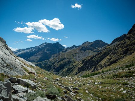 Vallée verte avec herbe et rochers, dans la vallée de Lys, au-dessus de Staffal et Gressoney la Trinite, dans la Vallée d'Aoste, Italie. Alpes Pennines