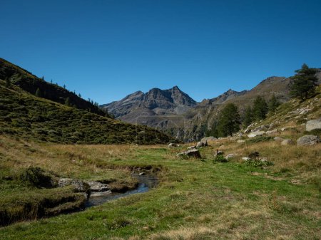 Grünes Tal mit Gras, Wald und Wasserlauf, im Lys-Tal, oberhalb von Staffal und Gressoney la Trinite, im Aostatal, Italien. Wenninalpen