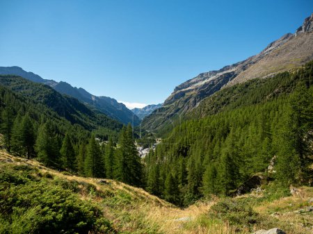 Blick auf grüne Wälder im Lys-Tal im Aostatal, Italien, oberhalb von Gressoney la Trinite und Staffal (Tschaval). Penninische Alpen, Norditalien.