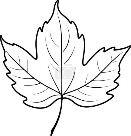 Maple leaf doodle elegant outline line art. Maple leaf line icon, outline style icon. Canada vector icon illustration.