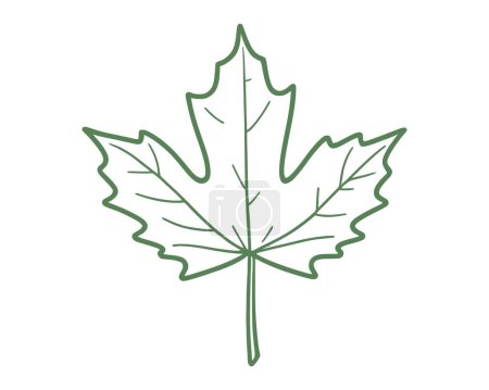 Maple leaf doodle elegant outline line art. Maple leaf line icon, outline style icon. Canada vector icon illustration.