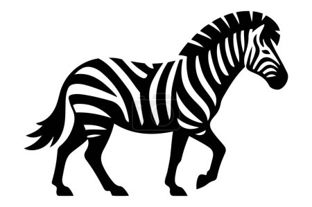 Zebra walking vector illustration.