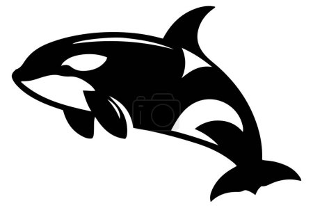 Orcinus orca asesino silueta de ballena vector ilustración.