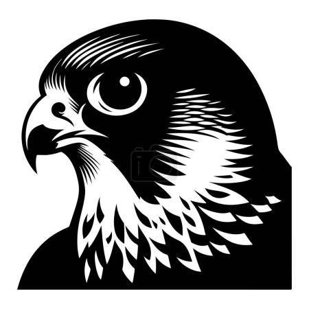 Téléchargez les illustrations : Illustration vectorielle de silhouette de visage d'oiseau Faucon pèlerin. - en licence libre de droit