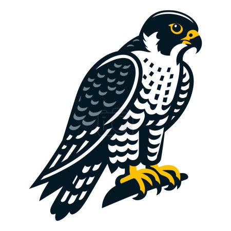 Peregrine Falcon bird vector illustration.