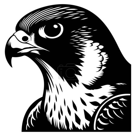 Téléchargez les illustrations : Illustration vectorielle de silhouette de tête d'oiseau Faucon pèlerin. - en licence libre de droit