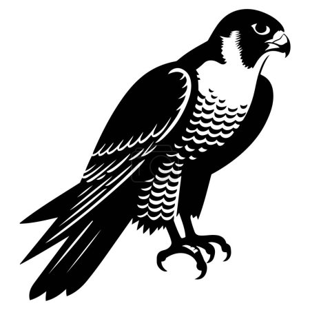Peregrine Falcon silhouette vector illustration.