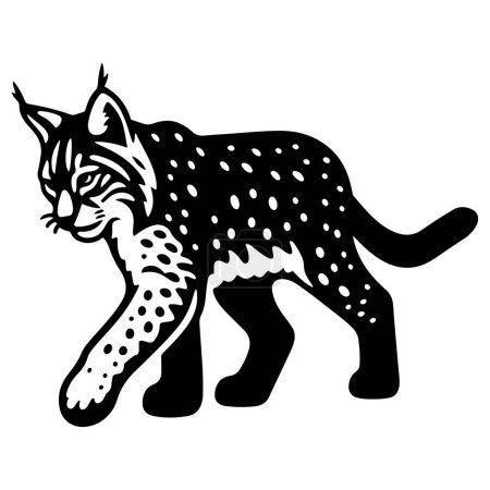 Lynx walking silhouette vector illustration on white background.