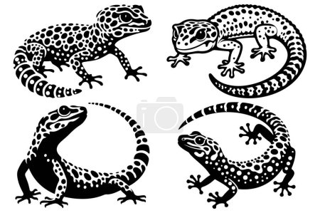 Leopardo Gecko silueta vector conjunto de ilustración.