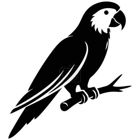 Parrot on tree branch silhouette vector illustration.