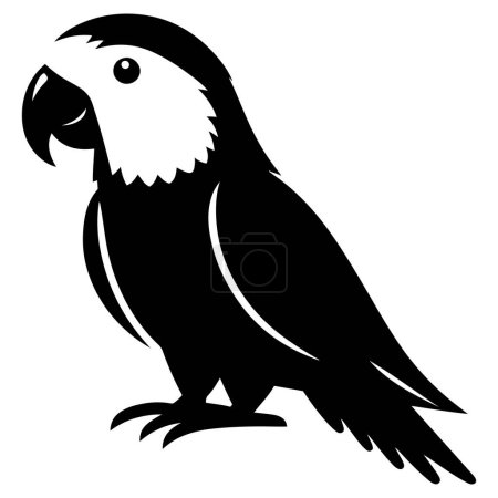 Parrot silhouette vector illustration.
