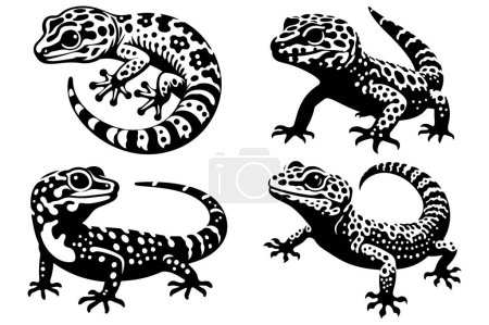 Silhouette of Leopard Gecko vector illustration set.